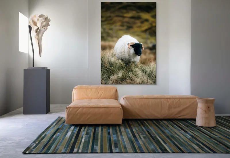 Tablou Canvas, "Oaia singuratică pe deal verde", Oaie, Blană, Coarne, Pajiște, Natură, Verde, Calm, Peisaj, 100 x 150 cm – poza 7