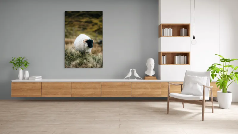 Tablou Canvas, "Oaia singuratică pe deal verde", Oaie, Blană, Coarne, Pajiște, Natură, Verde, Calm, Peisaj, 100 x 150 cm – poza 8