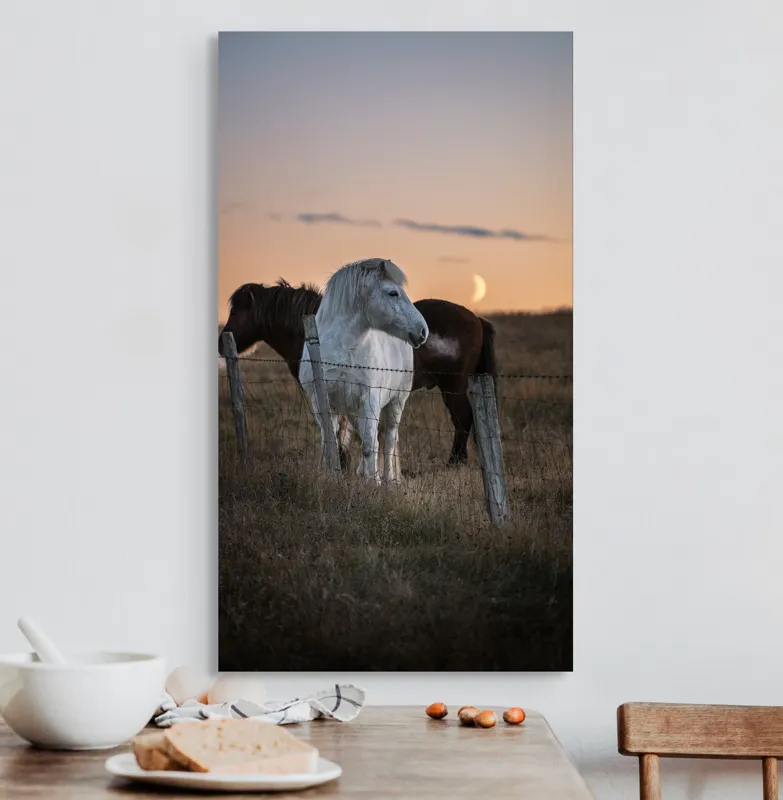 Tablou Canvas, "Cai lângă gard la apus", Cal, Apus, Gard, Iarbă, Cer, Lună, Lumină, Peisaj, 50 x 90 cm – poza 3