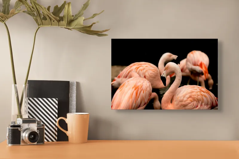 Tablou Canvas, "Grația flamingo în apusul serii", Flamingo, Roz, Pene, Apă, Gratie, Reflexie, Eleganță, Grup, Contrast, Negru, 39 x 26 cm – poza 3