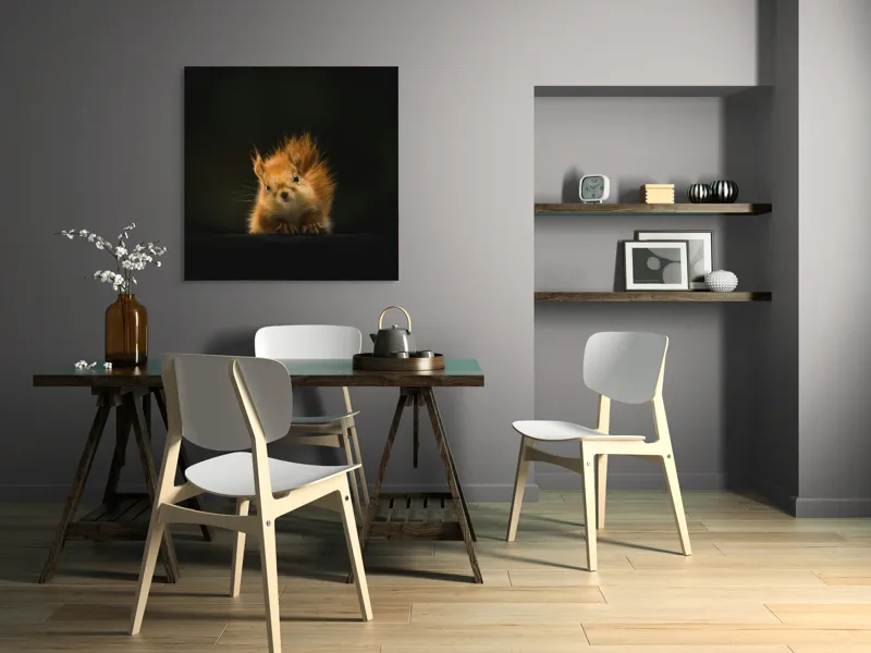 Tablou Canvas, "Veverița în lumina dimineții", Furnicătură, Blană, Urechiușe, Noapte, Privire, Seninătate, Silueta, 100 x 100 cm – poza 6