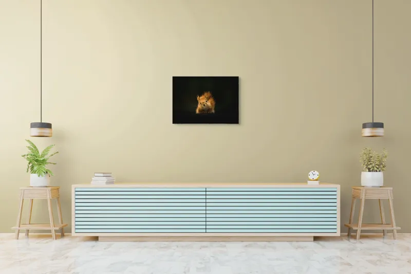 Tablou Canvas, "Veverița în lumina dimineții", Furnicătură, Blană, Urechiușe, Noapte, Privire, Seninătate, Silueta, 70 x 50 cm – poza 7