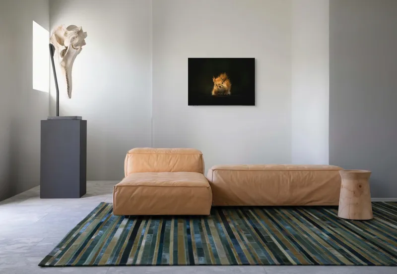 Tablou Canvas, "Veverița în lumina dimineții", Furnicătură, Blană, Urechiușe, Noapte, Privire, Seninătate, Silueta, 70 x 50 cm – poza 8