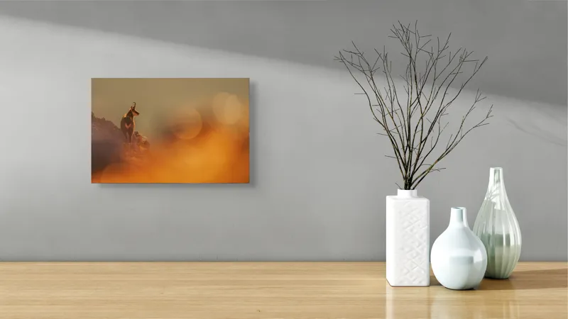 Tablou Canvas, "Capra neagră în lumina apusului", Capră, Stâncă, Apus, Siluetă, Natură, Lumină, Culoare, Blândețe, 39 x 26 cm – poza 8
