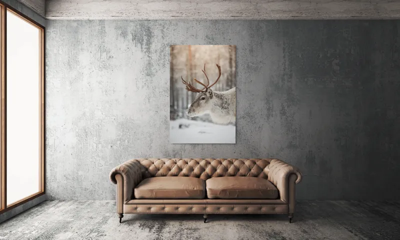 Tablou Canvas, "Ren alb în pădurea de iarnă", Frig, Ren, Alb, Zăpadă, Pădure, Iarnă, Crengi, Natură, Lumină, Serinitate, 100 x 150 cm – poza 6