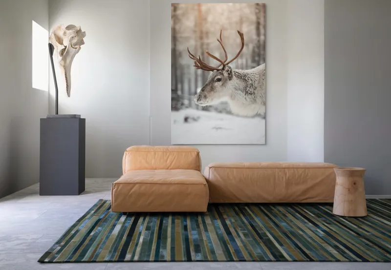 Tablou Canvas, "Ren alb în pădurea de iarnă", Frig, Ren, Alb, Zăpadă, Pădure, Iarnă, Crengi, Natură, Lumină, Serinitate, 100 x 150 cm – poza 7