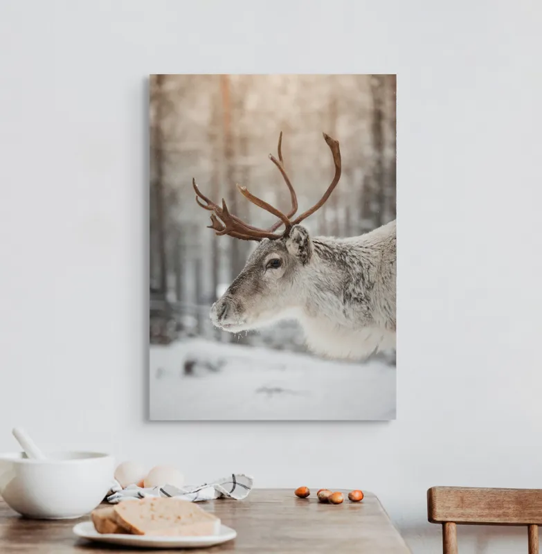 Tablou Canvas, "Ren alb în pădurea de iarnă", Frig, Ren, Alb, Zăpadă, Pădure, Iarnă, Crengi, Natură, Lumină, Serinitate, 50 x 70 cm – poza 3