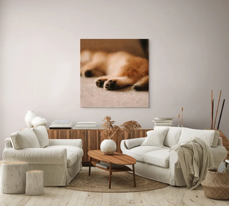 Tablou Canvas, "Somnul dulce al pisicuței pufoase", 100 x 100 cm – poza 3