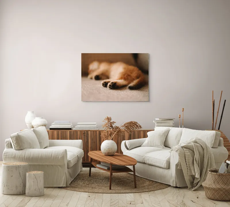 Tablou Canvas, "Somnul dulce al pisicuței pufoase", 100 x 70 cm – poza 3