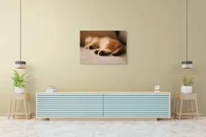 Tablou Canvas, "Somnul dulce al pisicuței pufoase", 100 x 70 cm – poza 4
