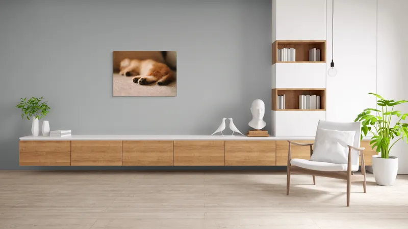 Tablou Canvas, "Somnul dulce al pisicuței pufoase", 100 x 70 cm – poza 6