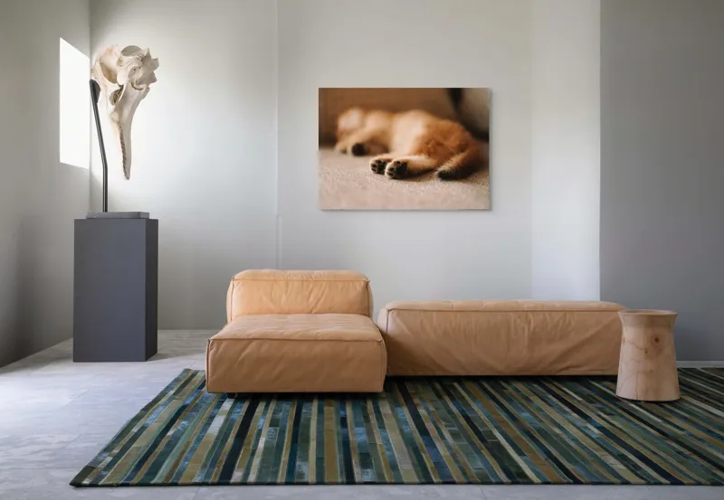 Tablou Canvas, "Somnul dulce al pisicuței pufoase", 100 x 70 cm – poza 7