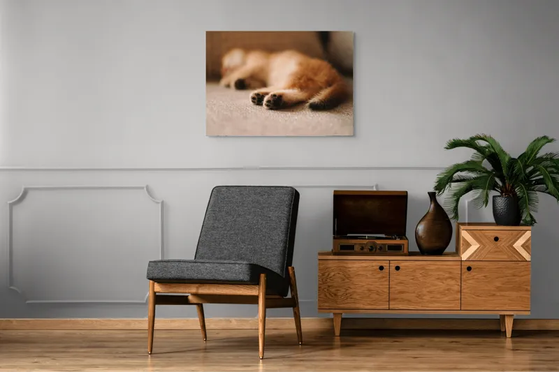 Tablou Canvas, "Somnul dulce al pisicuței pufoase", 100 x 70 cm – poza 8