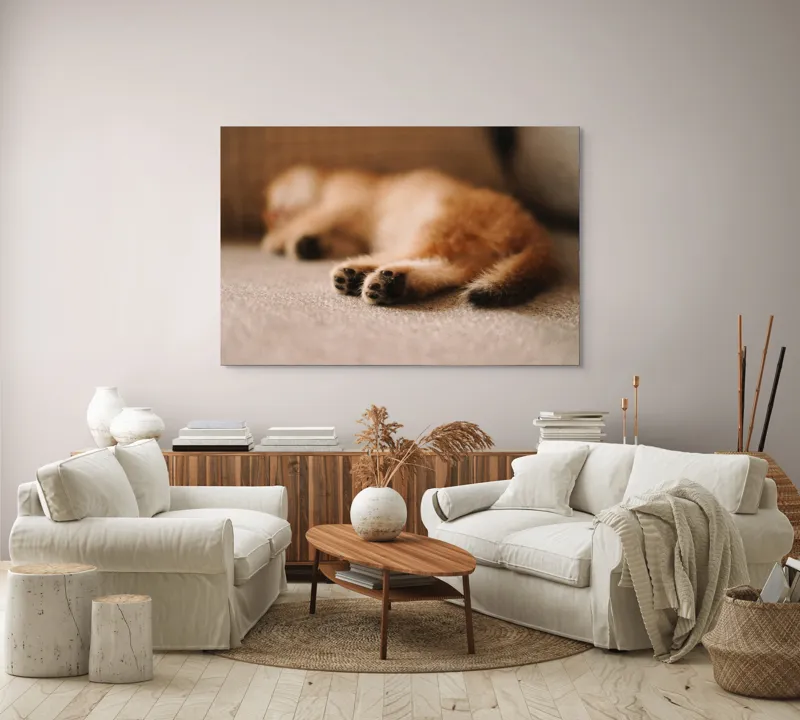 Tablou Canvas, "Somnul dulce al pisicuței pufoase", 150 x 100 cm – poza 3