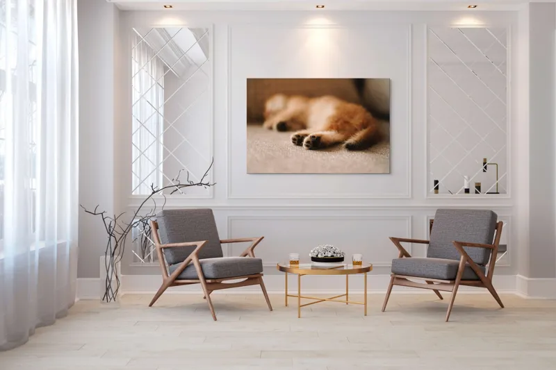 Tablou Canvas, "Somnul dulce al pisicuței pufoase", 150 x 100 cm – poza 7