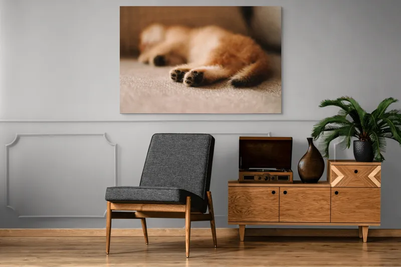 Tablou Canvas, "Somnul dulce al pisicuței pufoase", 150 x 100 cm – poza 8