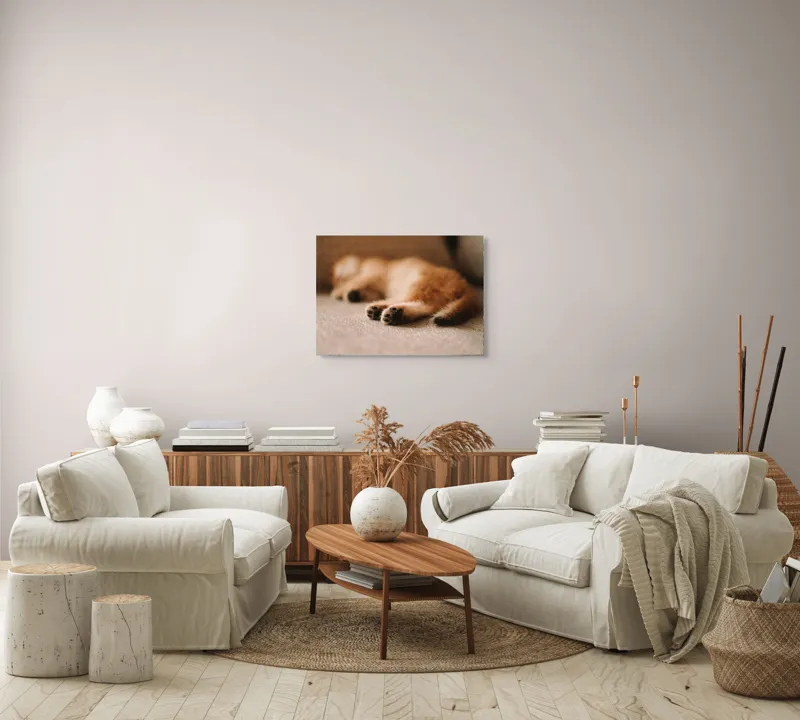 Tablou Canvas, "Somnul dulce al pisicuței pufoase", 70 x 50 cm – poza 6