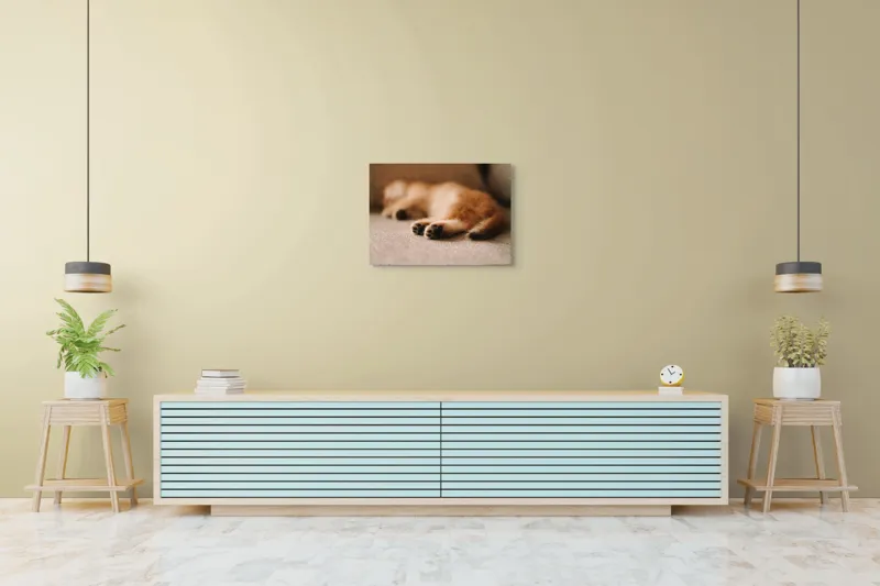 Tablou Canvas, "Somnul dulce al pisicuței pufoase", 70 x 50 cm – poza 7