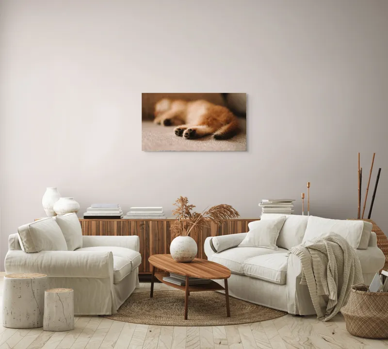 Tablou Canvas, "Somnul dulce al pisicuței pufoase", 90 x 50 cm – poza 4