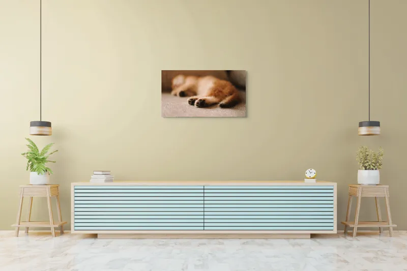 Tablou Canvas, "Somnul dulce al pisicuței pufoase", 90 x 50 cm – poza 5