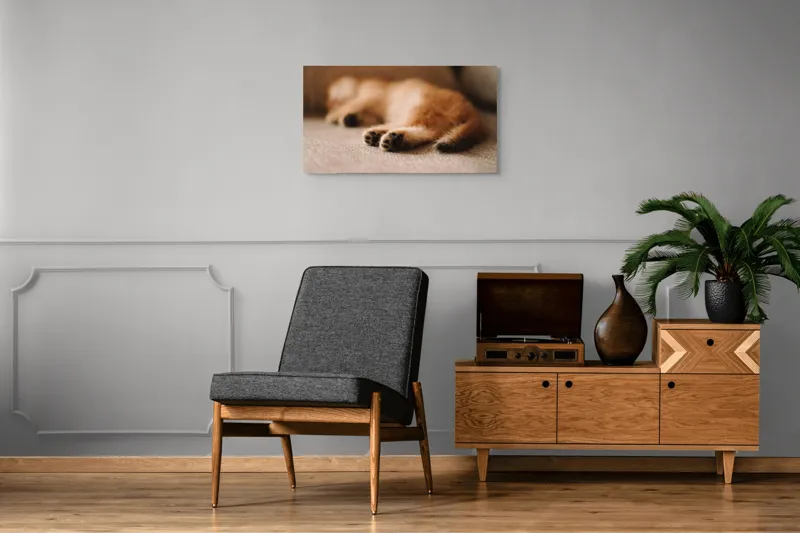 Tablou Canvas, "Somnul dulce al pisicuței pufoase", 90 x 50 cm – poza 6
