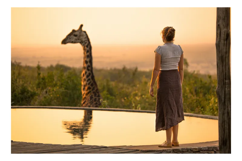 Tablou Canvas, "Întâlnire cu girafa la apus", Nu știu cine este în imagine, dar pot să descriu ceea ce văd: Giraffă, Apus, Femeie, Lac, Natură, Observare, Relaxare, Safari., 100 x 100 cm