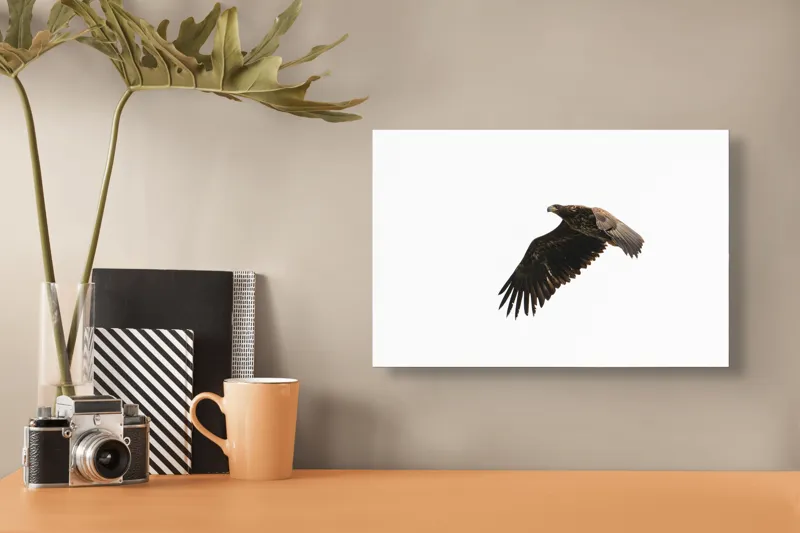 Tablou Canvas Vultur în Zbor pe Cer Libertate Siluetă, 39 x 26 cm – poza 3