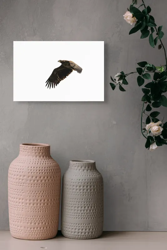 Tablou Canvas Vultur în Zbor pe Cer Libertate Siluetă, 39 x 26 cm – poza 4