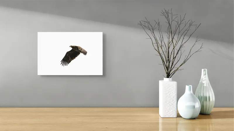 Tablou Canvas Vultur în Zbor pe Cer Libertate Siluetă, 39 x 26 cm – poza 8