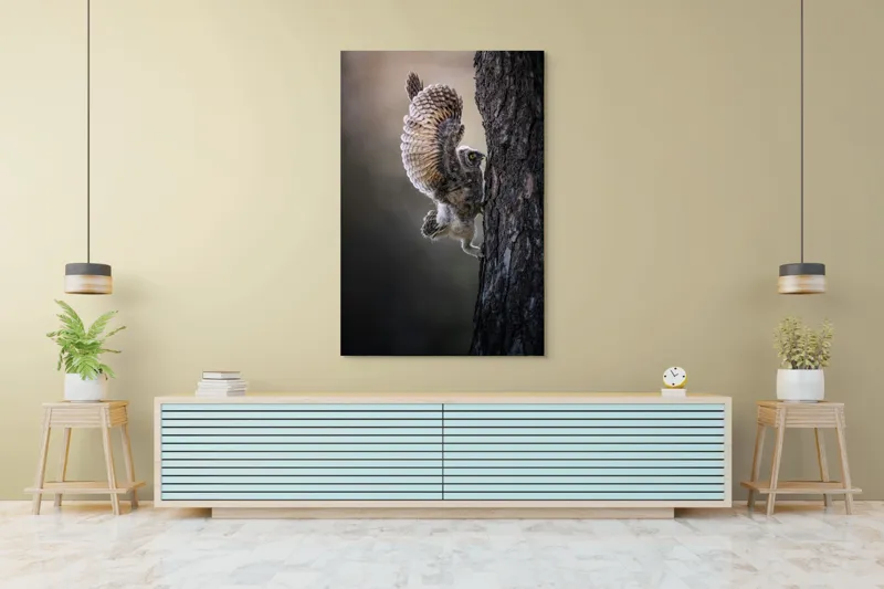 Tablou Canvas, "Puiul de bufniță își ia avânt", Bufniță, Aripă, Penaj, Copac, Zbor, Natură, Ochi, Pene, Trunchi., 100 x 150 cm – poza 4