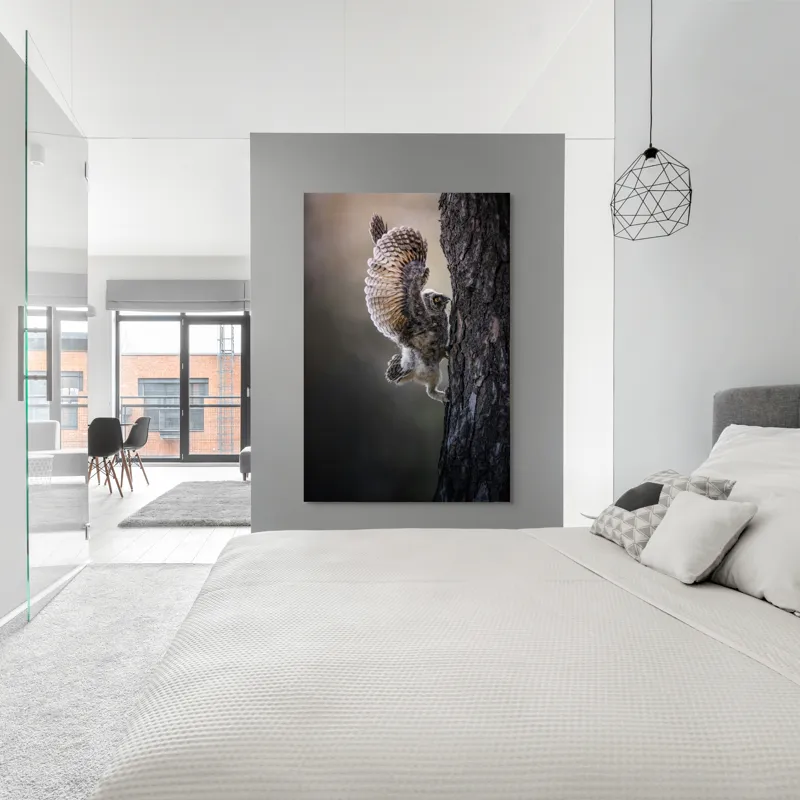 Tablou Canvas, "Puiul de bufniță își ia avânt", Bufniță, Aripă, Penaj, Copac, Zbor, Natură, Ochi, Pene, Trunchi., 100 x 150 cm – poza 5