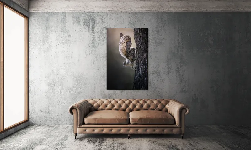 Tablou Canvas, "Puiul de bufniță își ia avânt", Bufniță, Aripă, Penaj, Copac, Zbor, Natură, Ochi, Pene, Trunchi., 100 x 150 cm – poza 6