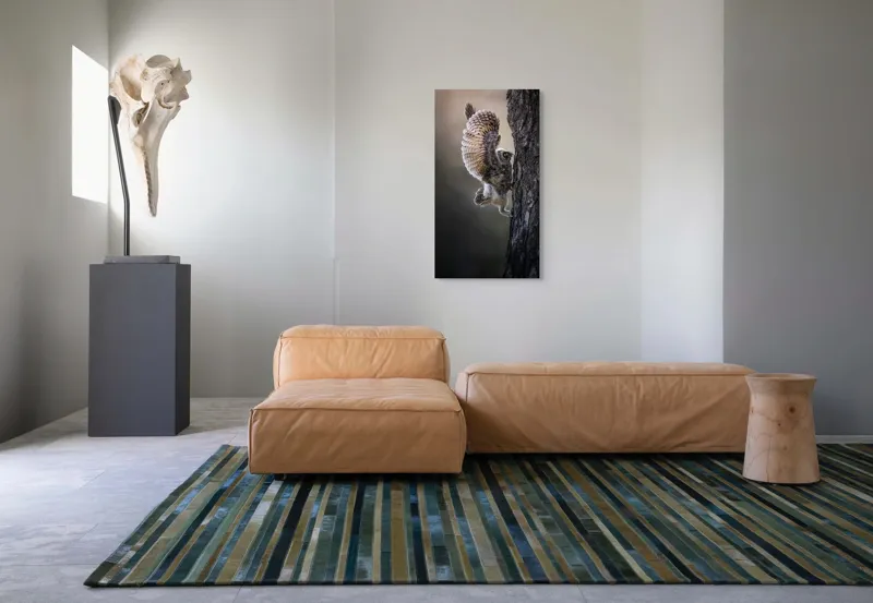 Tablou Canvas, "Puiul de bufniță își ia avânt", Bufniță, Aripă, Penaj, Copac, Zbor, Natură, Ochi, Pene, Trunchi., 50 x 90 cm – poza 5