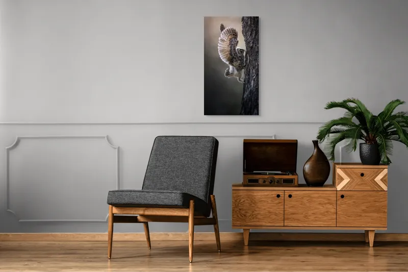 Tablou Canvas, "Puiul de bufniță își ia avânt", Bufniță, Aripă, Penaj, Copac, Zbor, Natură, Ochi, Pene, Trunchi., 50 x 90 cm – poza 8
