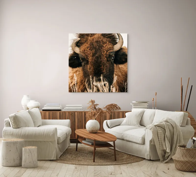 Tablou Canvas, "Bizonul în splendoarea naturii sălbatice", 100 x 100 cm – poza 3