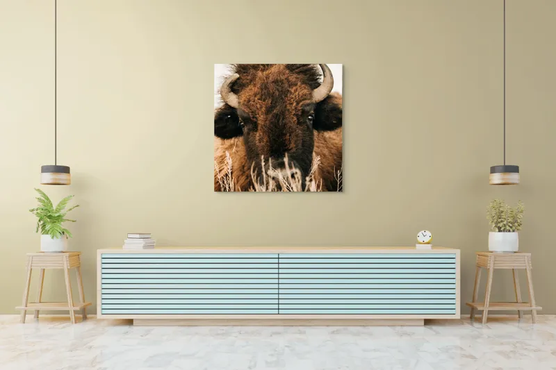 Tablou Canvas, "Bizonul în splendoarea naturii sălbatice", 100 x 100 cm – poza 5