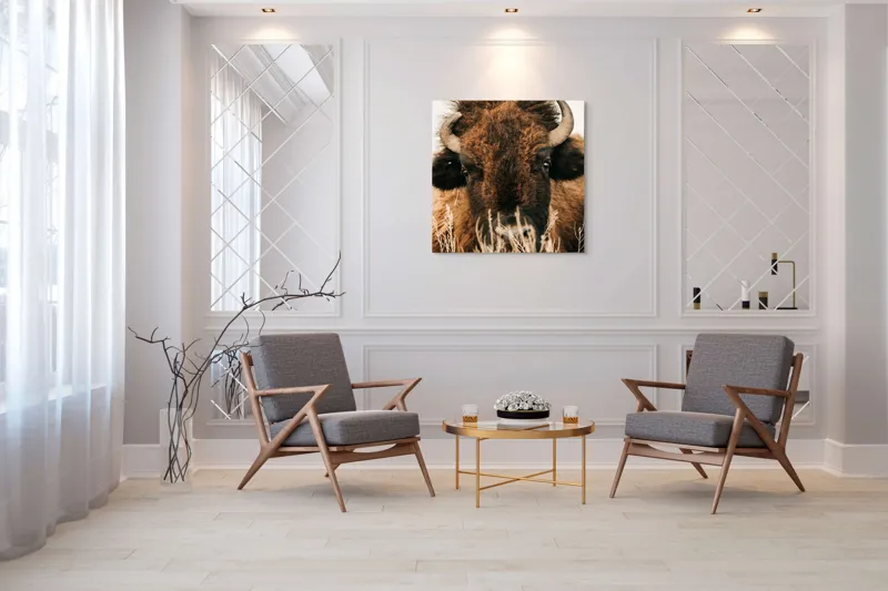 Tablou Canvas, "Bizonul în splendoarea naturii sălbatice", 100 x 100 cm – poza 7