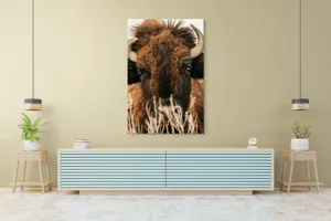 Tablou Canvas, "Bizonul în splendoarea naturii sălbatice", 100 x 150 cm – poza 4