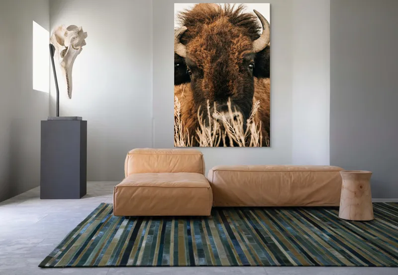 Tablou Canvas, "Bizonul în splendoarea naturii sălbatice", 100 x 150 cm – poza 7