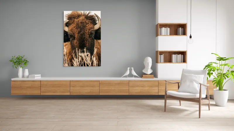 Tablou Canvas, "Bizonul în splendoarea naturii sălbatice", 100 x 150 cm – poza 8