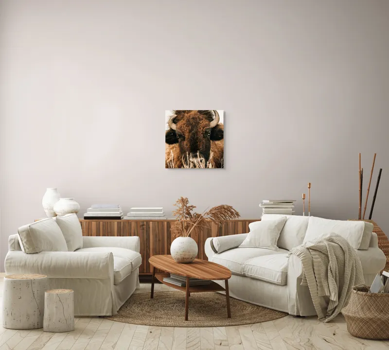 Tablou Canvas, "Bizonul în splendoarea naturii sălbatice", 50 x 50 cm – poza 7