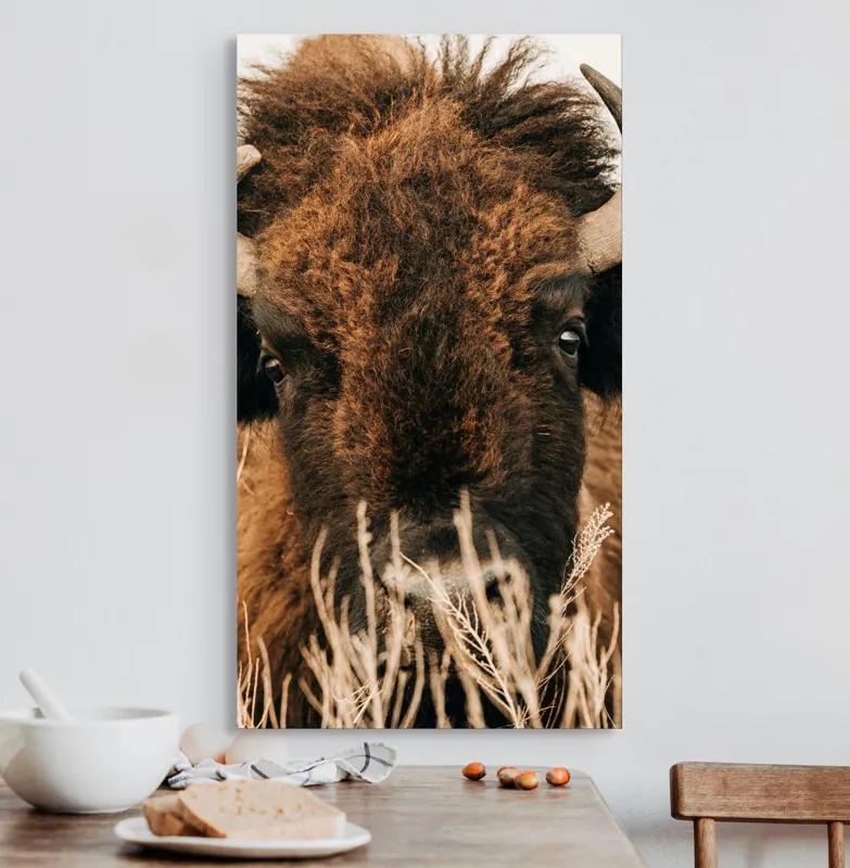 Tablou Canvas, "Bizonul în splendoarea naturii sălbatice", Nu pot să identific cine este în imagine., 50 x 90 cm – poza 3
