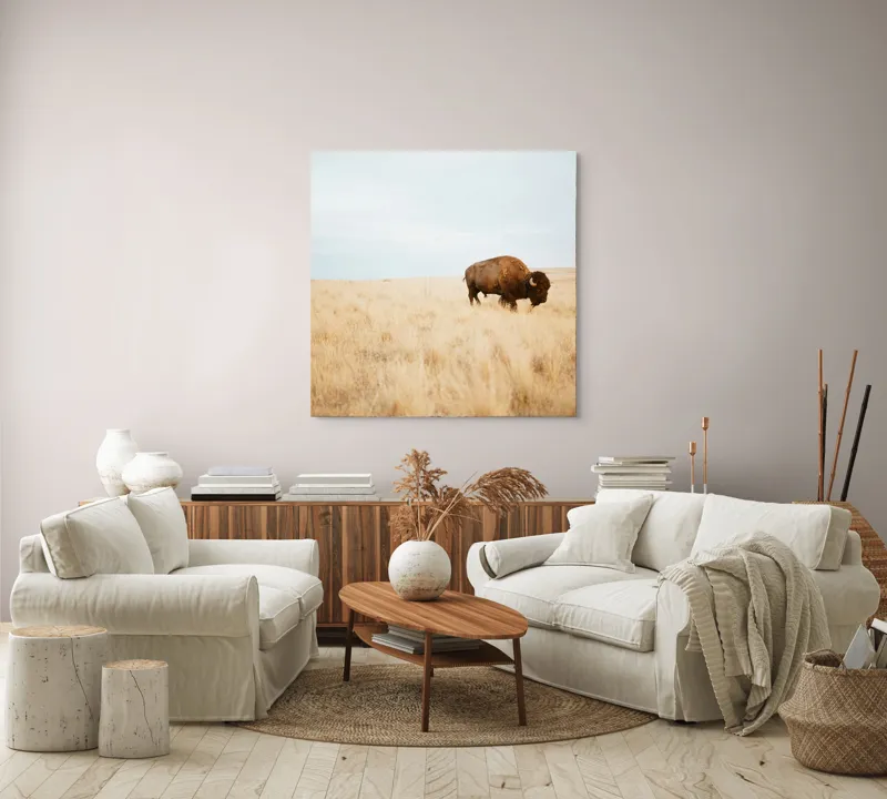 Tablou Canvas, "Bizon solitar în savana aridă", Bizon, Prerie, Cer, Solitudine, Peisaj, Natura, Liniste, 100 x 100 cm – poza 3