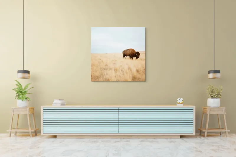 Tablou Canvas, "Bizon solitar în savana aridă", Bizon, Prerie, Cer, Solitudine, Peisaj, Natura, Liniste, 100 x 100 cm – poza 5