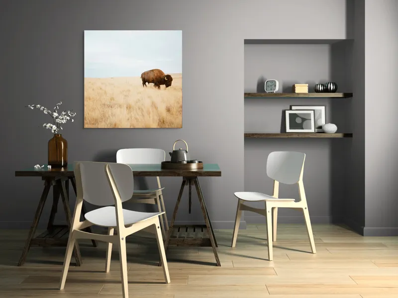 Tablou Canvas, "Bizon solitar în savana aridă", Bizon, Prerie, Cer, Solitudine, Peisaj, Natura, Liniste, 100 x 100 cm – poza 6