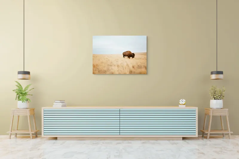Tablou Canvas, "Bizon solitar în savana aridă", Bizon, Prerie, Cer, Solitudine, Peisaj, Natura, Liniste, 100 x 70 cm – poza 4