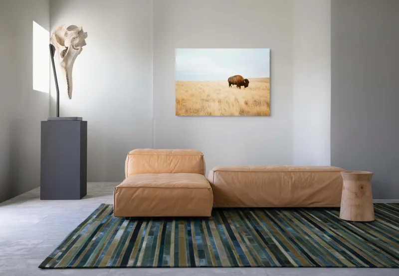 Tablou Canvas, "Bizon solitar în savana aridă", Bizon, Prerie, Cer, Solitudine, Peisaj, Natura, Liniste, 100 x 70 cm – poza 7