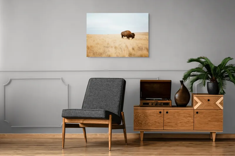 Tablou Canvas, "Bizon solitar în savana aridă", Bizon, Prerie, Cer, Solitudine, Peisaj, Natura, Liniste, 100 x 70 cm – poza 8