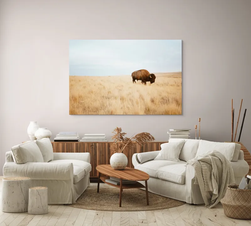Tablou Canvas, "Bizon solitar în savana aridă", Bizon, Prerie, Cer, Solitudine, Peisaj, Natura, Liniste, 150 x 100 cm – poza 3