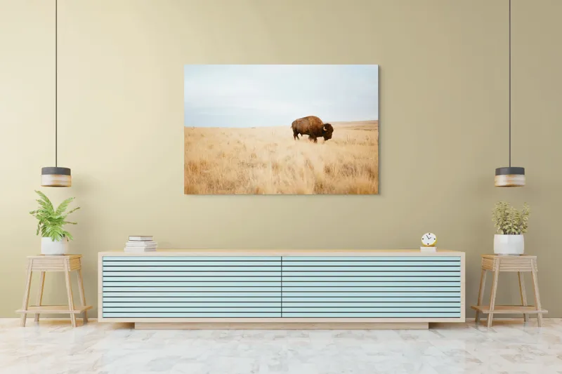 Tablou Canvas, "Bizon solitar în savana aridă", Bizon, Prerie, Cer, Solitudine, Peisaj, Natura, Liniste, 150 x 100 cm – poza 6